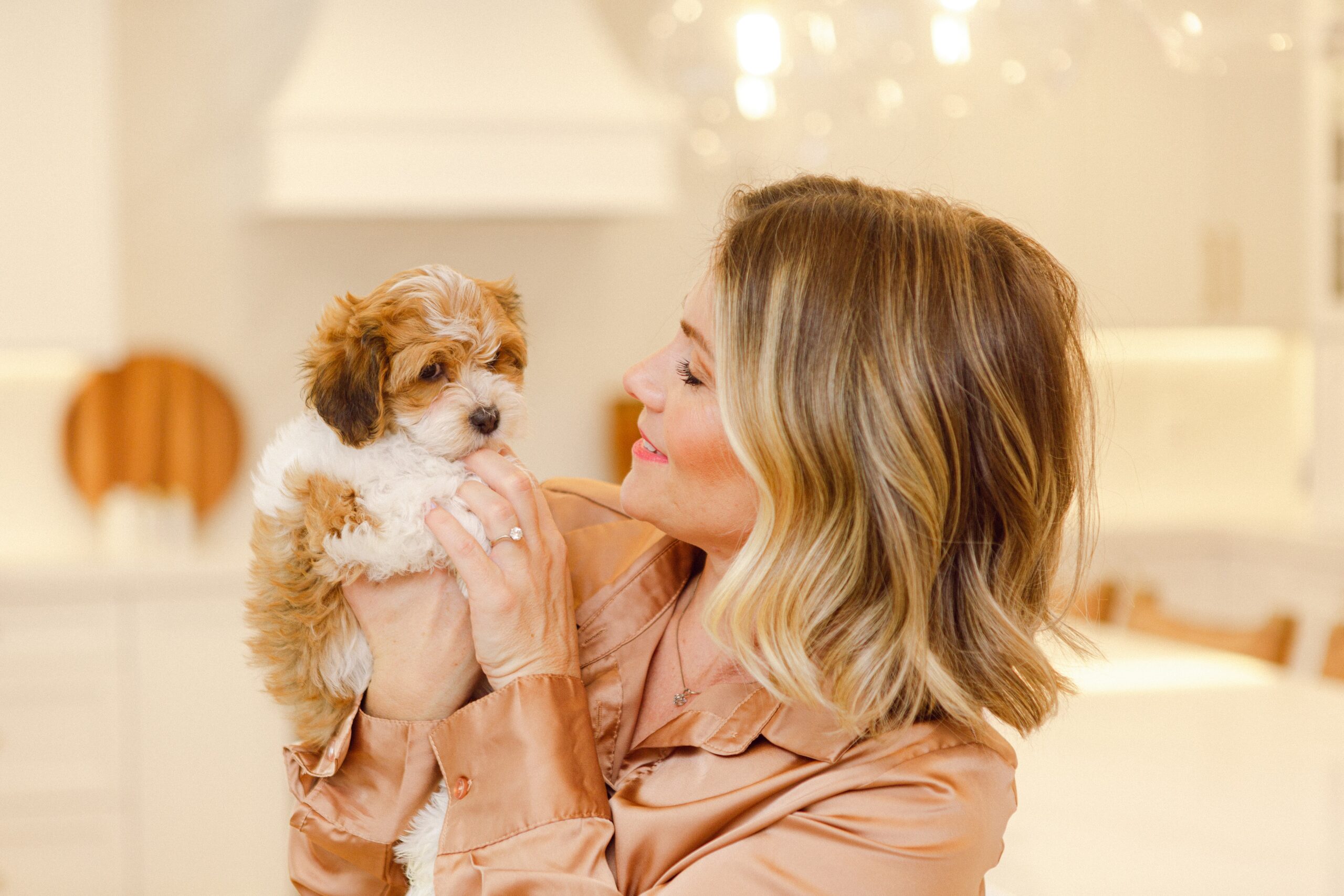 Sage Puppies delivery and pickup information for families near South Jordan, Utah