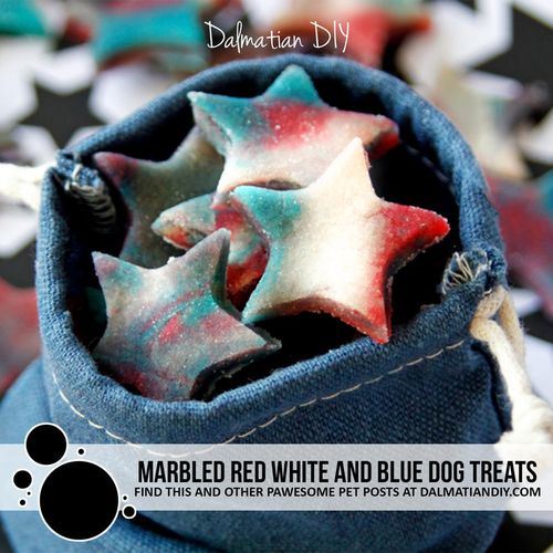 Blue Star Pups
