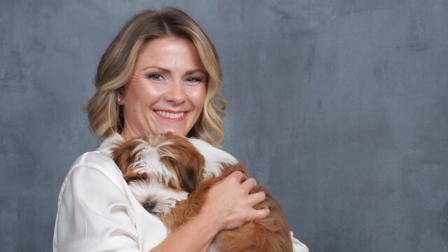Brown and white Havapoo puppy being held during a Sage Puppies photo session