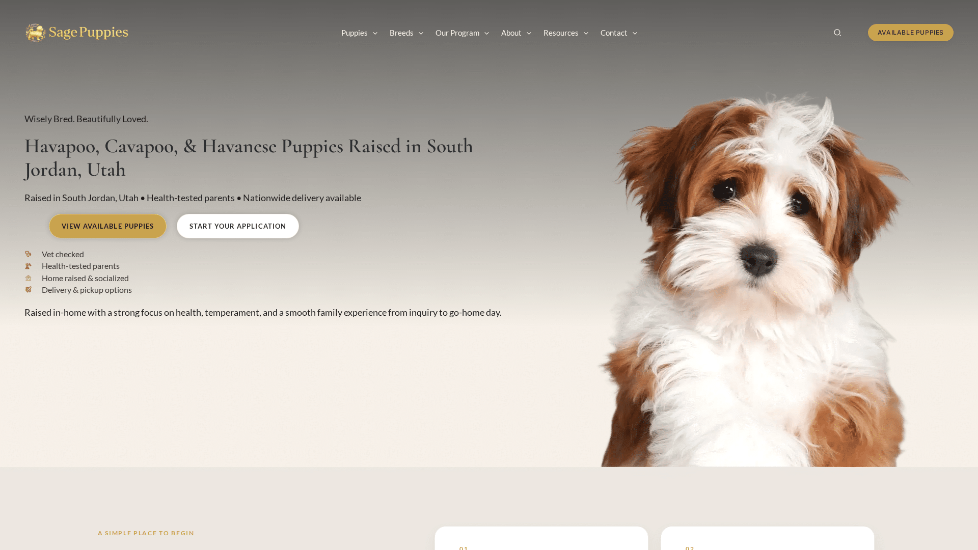 Sage Puppies