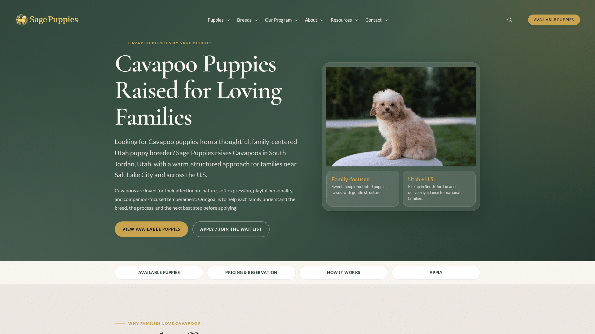 Cavapoo