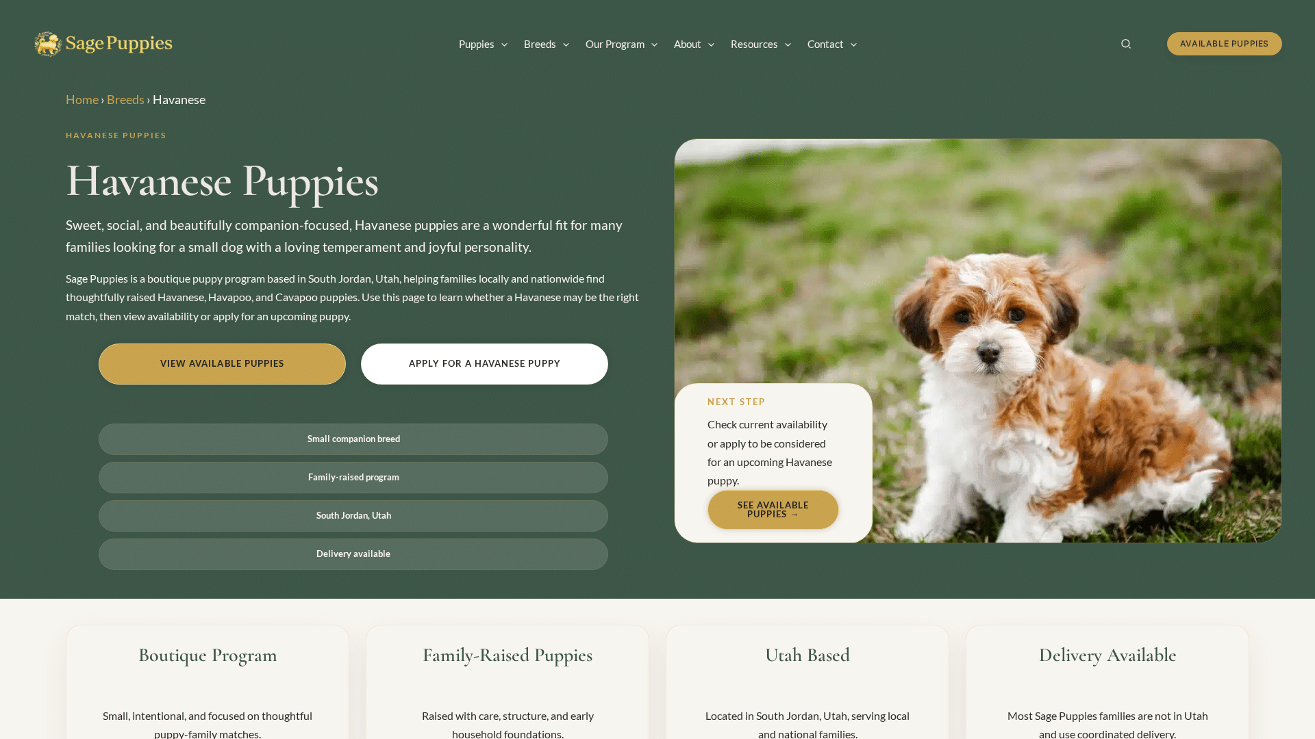 Havanese