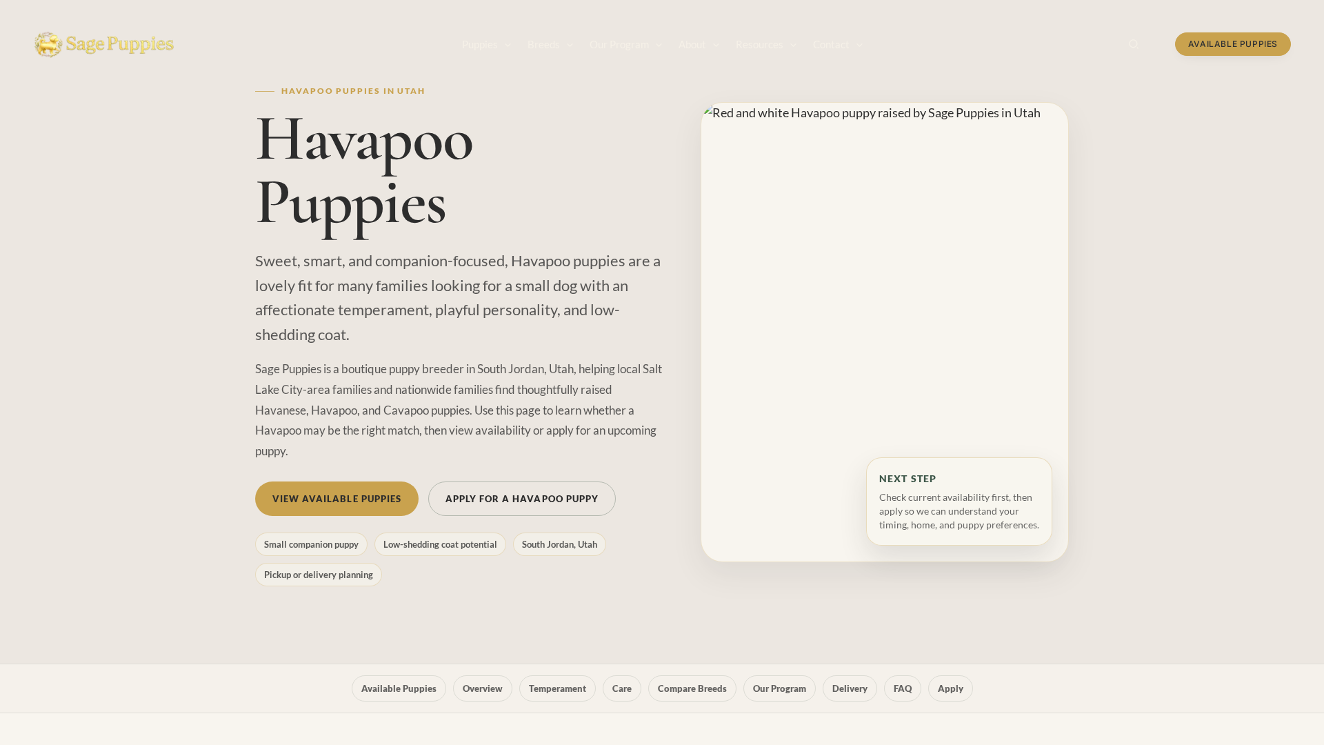 Havapoo
