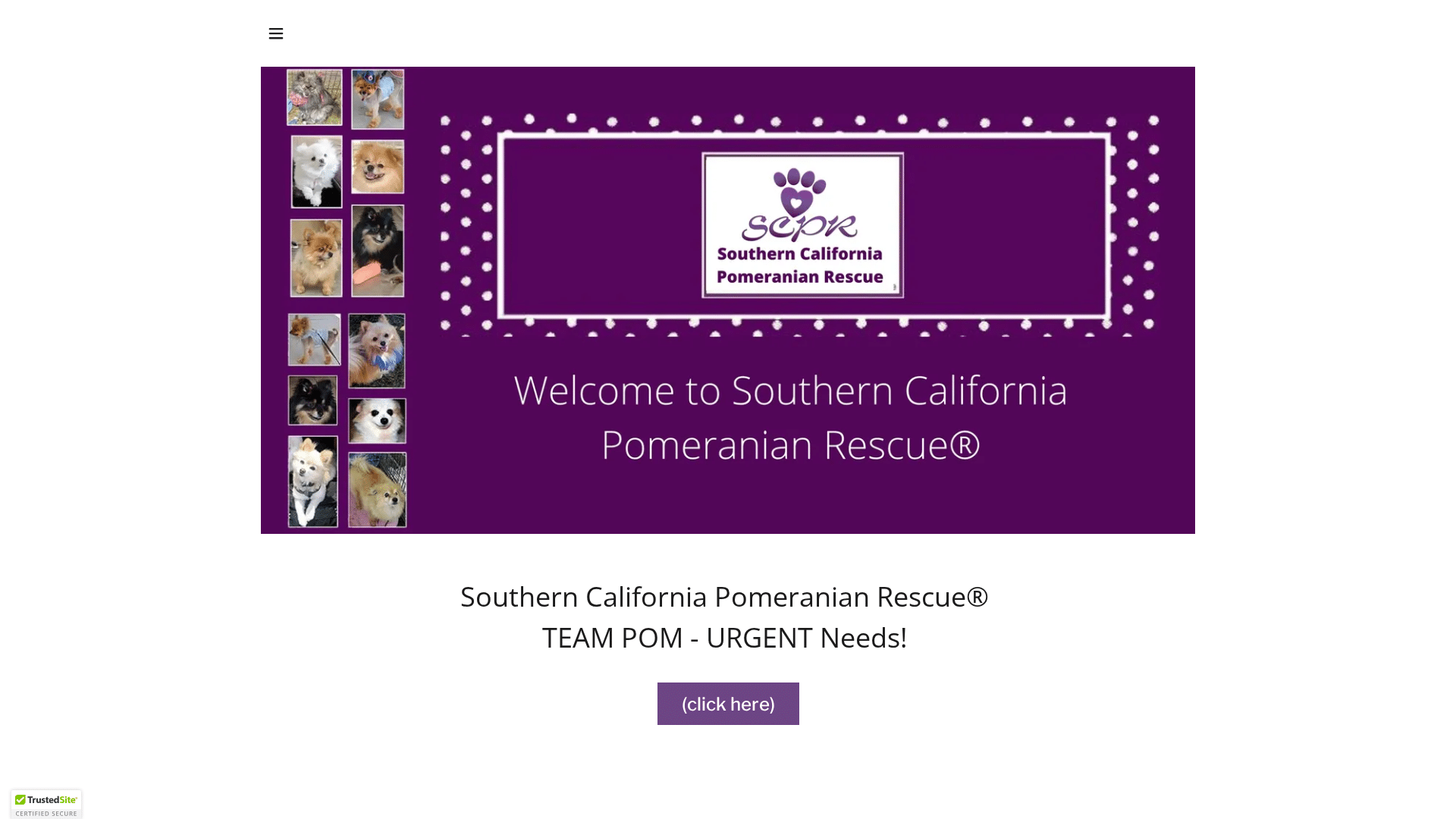 Southern California Pomeranian Rescue