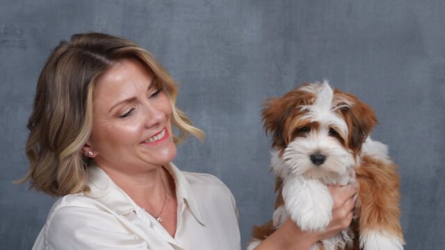 Sage Puppies breeder holding a red and white Havapoo puppy