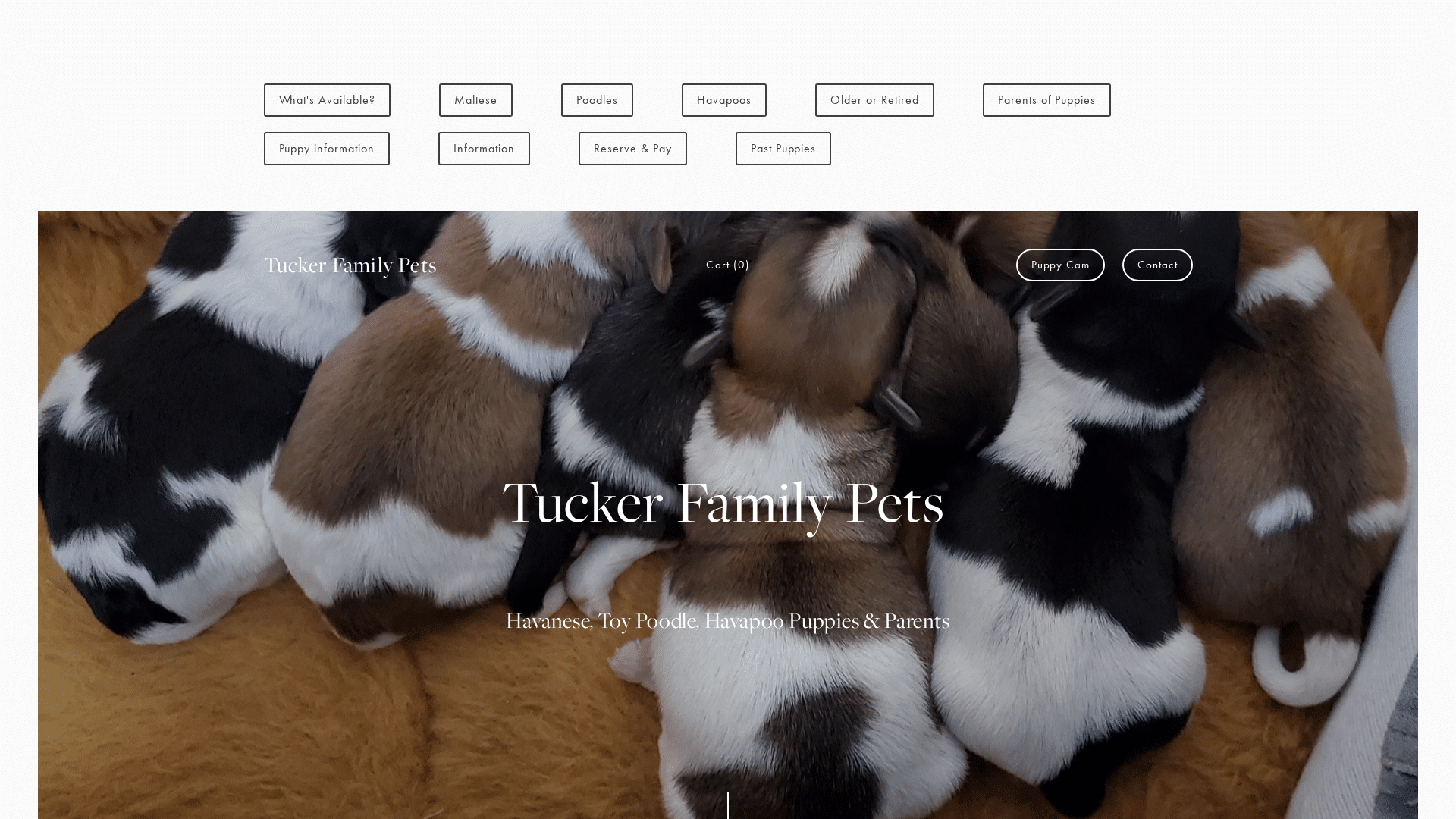 Tucker Family Pets