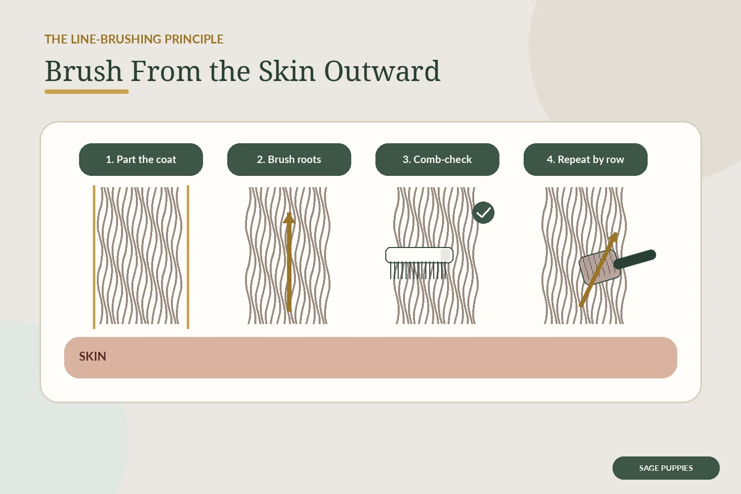 Diagram showing a fluffy puppy coat parted into rows and brushed from near the skin toward the ends