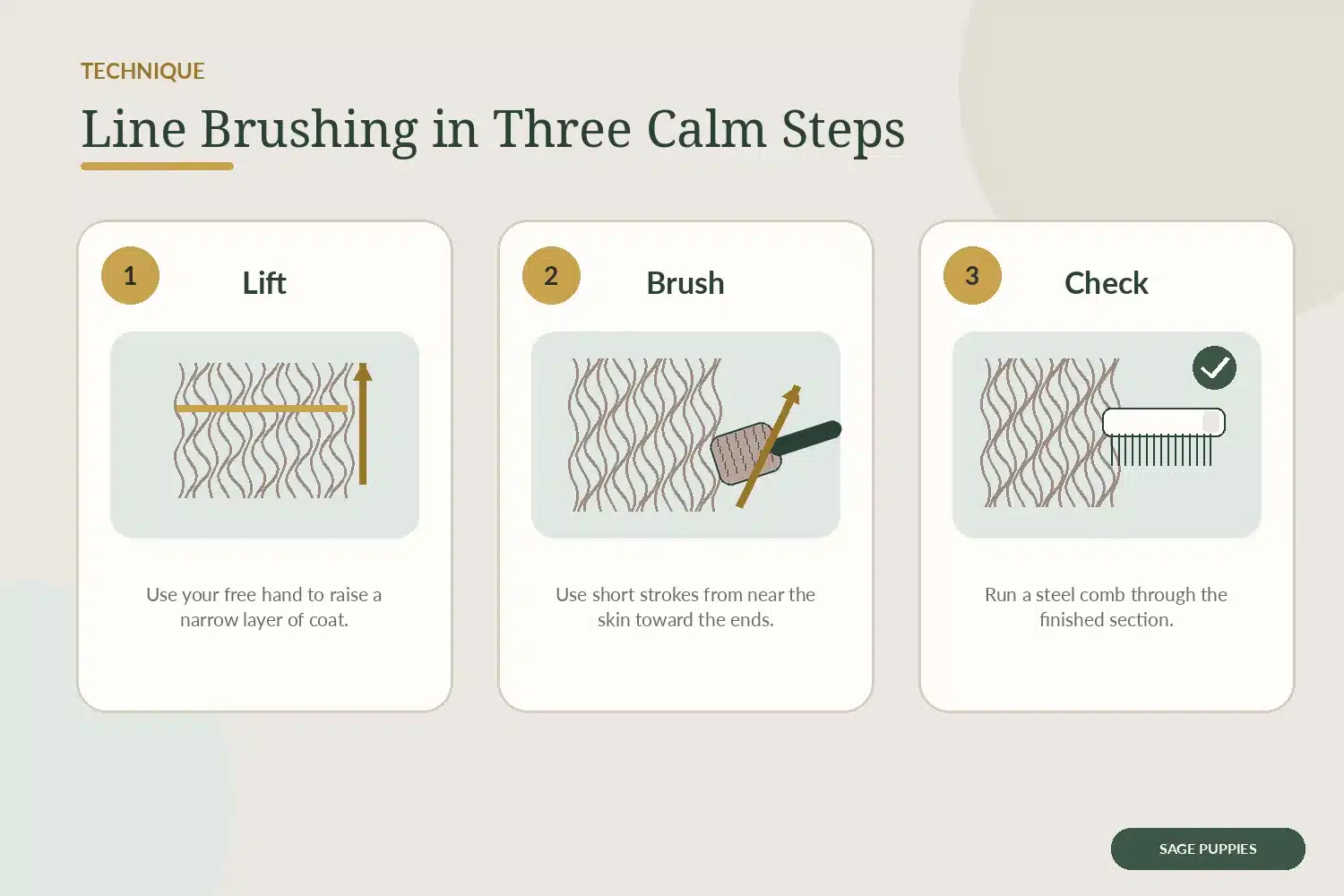 Three-panel illustration showing how to lift, brush, and comb-check a fluffy puppy coat