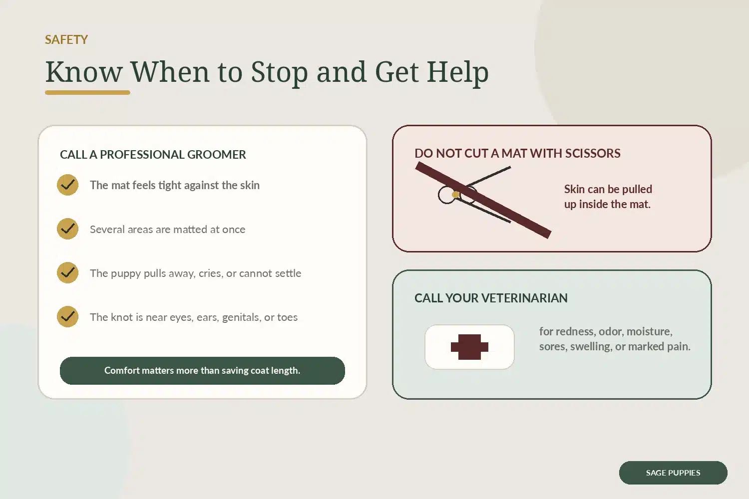 Safety illustration listing signs to call a professional groomer or veterinarian and warning not to cut mats with scissors