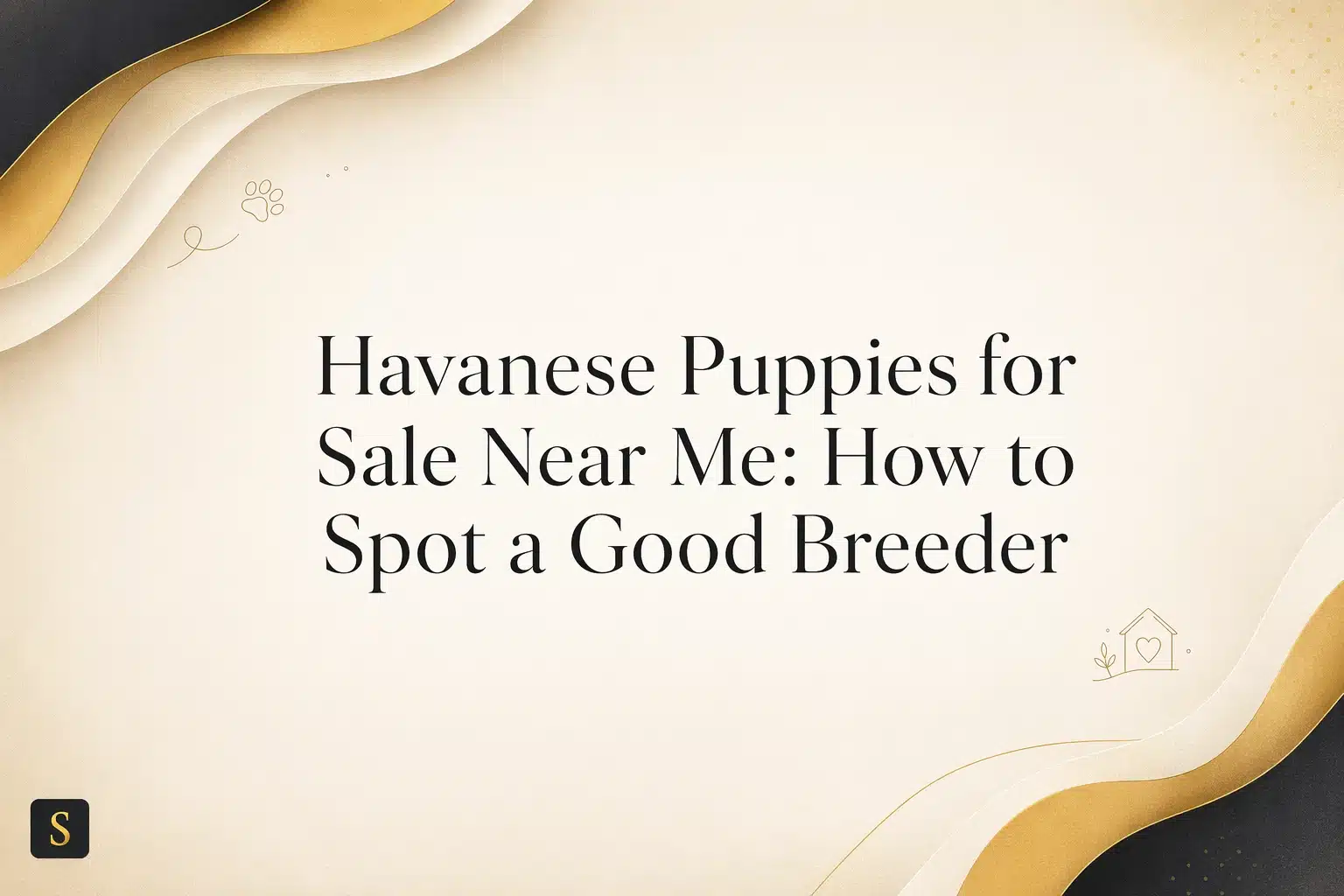 Text overlay on a soft, gradient background reads "Havanese Puppies for Sale Near Me: How to Spot a Good Breeder." Decorative golden waves frame the top and right sides, with a small house and paw print icon on the right.