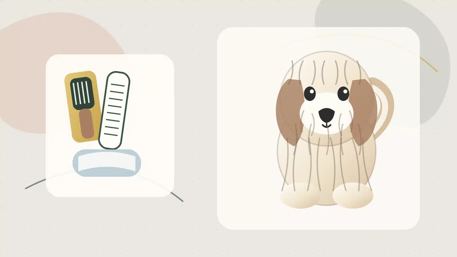Illustrated Havanese sitting beside a brush, comb, towel, and grooming spray