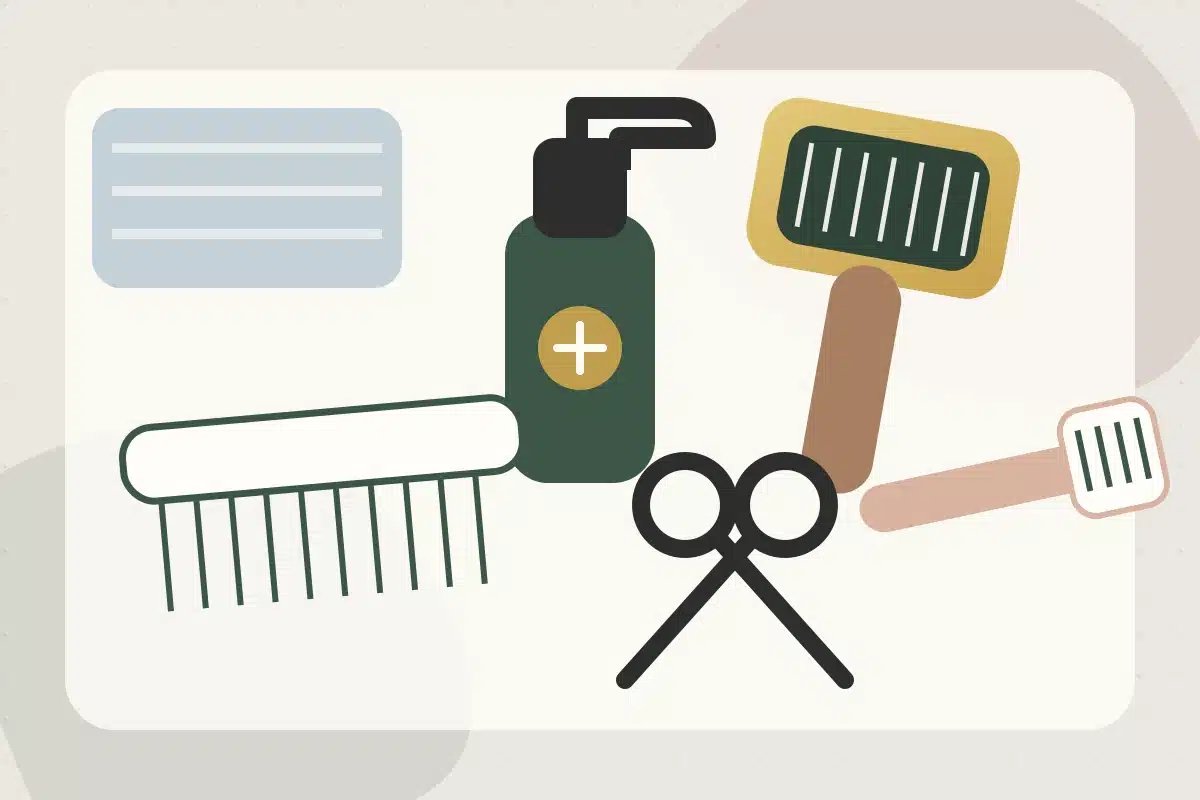 Flat illustration of a Havanese grooming toolkit with brushes, comb, spray, towel, nail clippers, and toothbrush