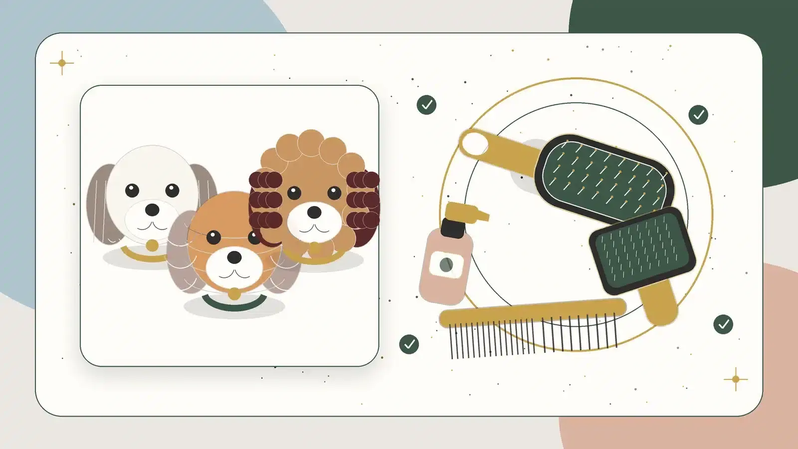 Illustration of Havanese, Havapoo, and Cavapoo puppies beside grooming brushes, a comb, and coat spray