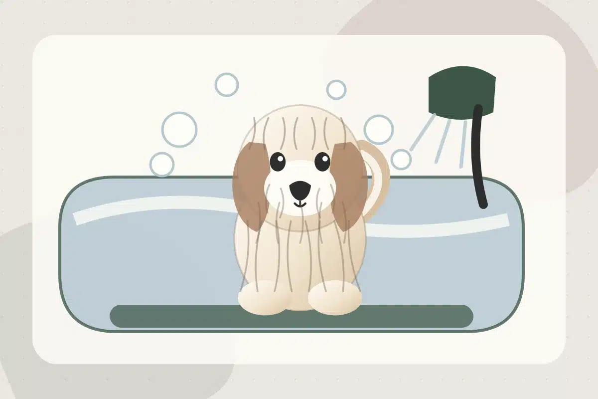 Illustrated Havanese standing safely in a bath with bubbles, a non-slip mat, and a handheld sprayer