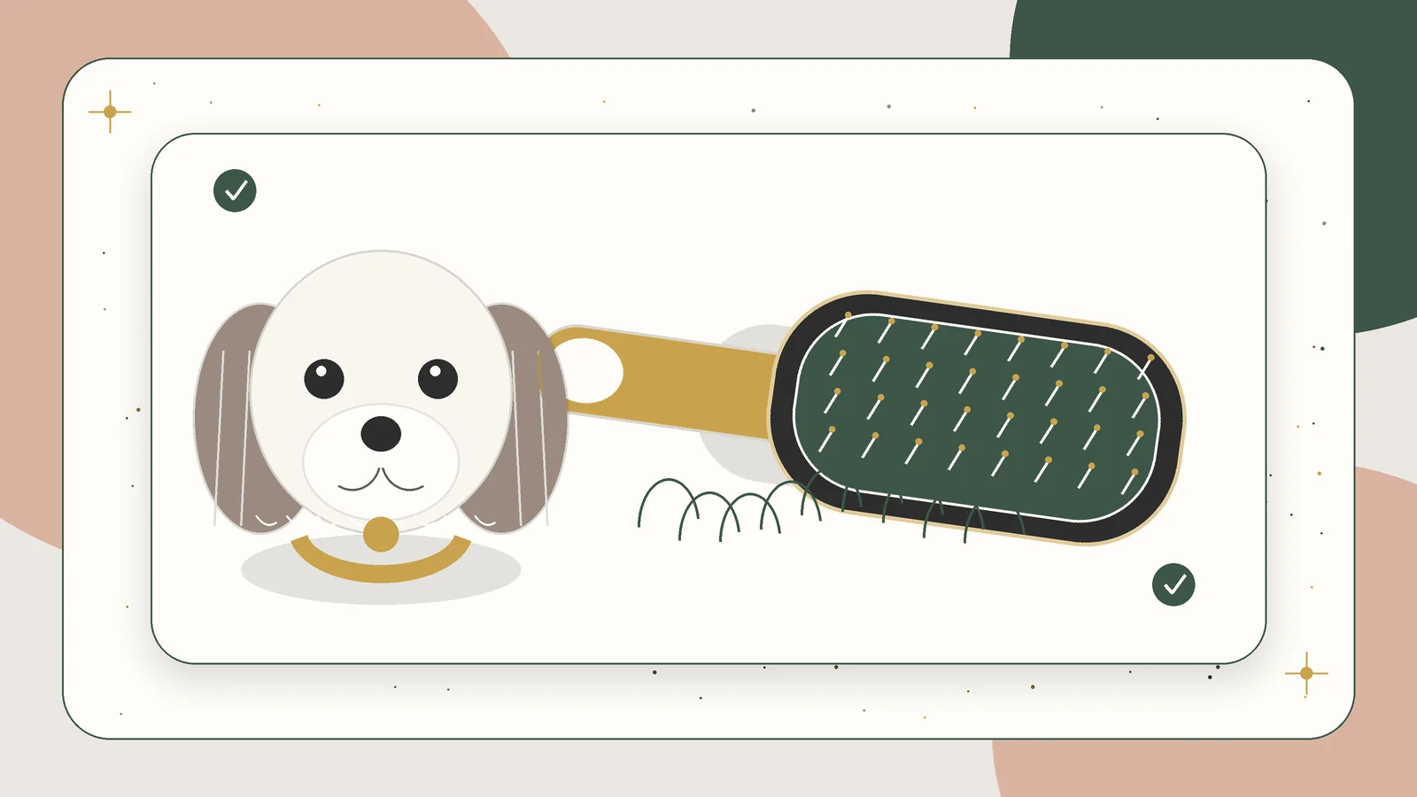 Illustration of a cushion pin brush beside a long-coated Havanese puppy