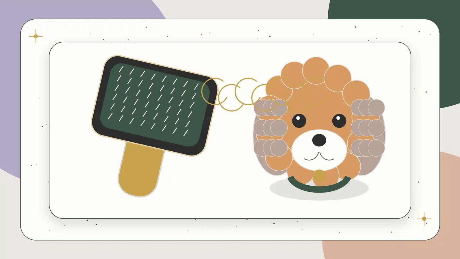 Illustration of a soft slicker brush beside a curly-coated puppy