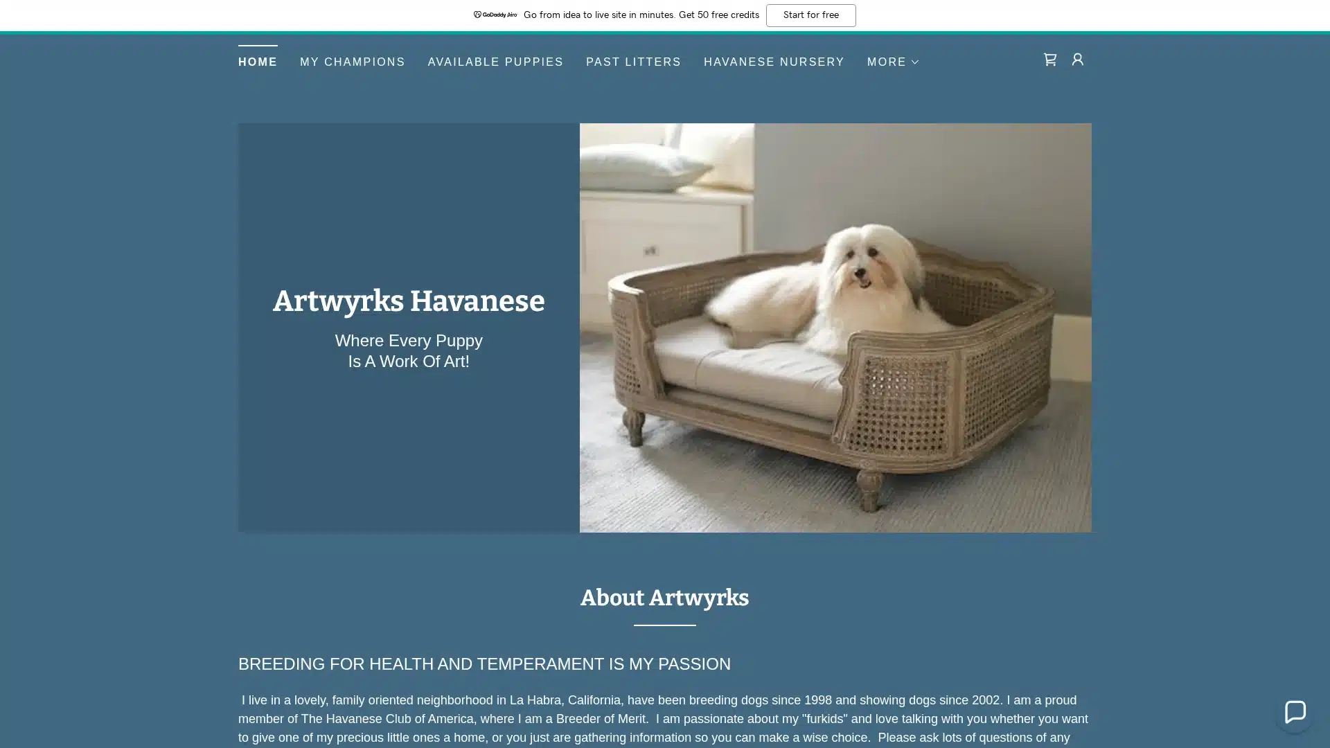 Artwyrks Havanese