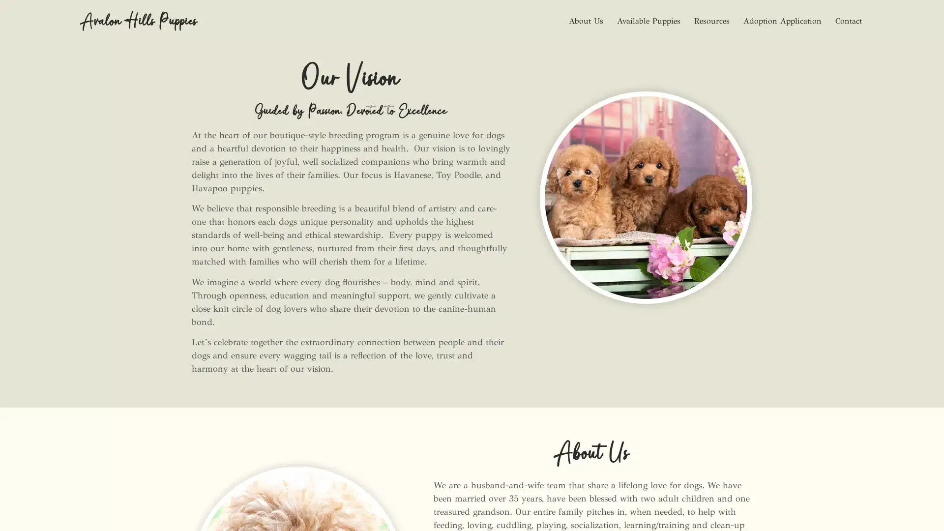 Avalon Hills Puppies