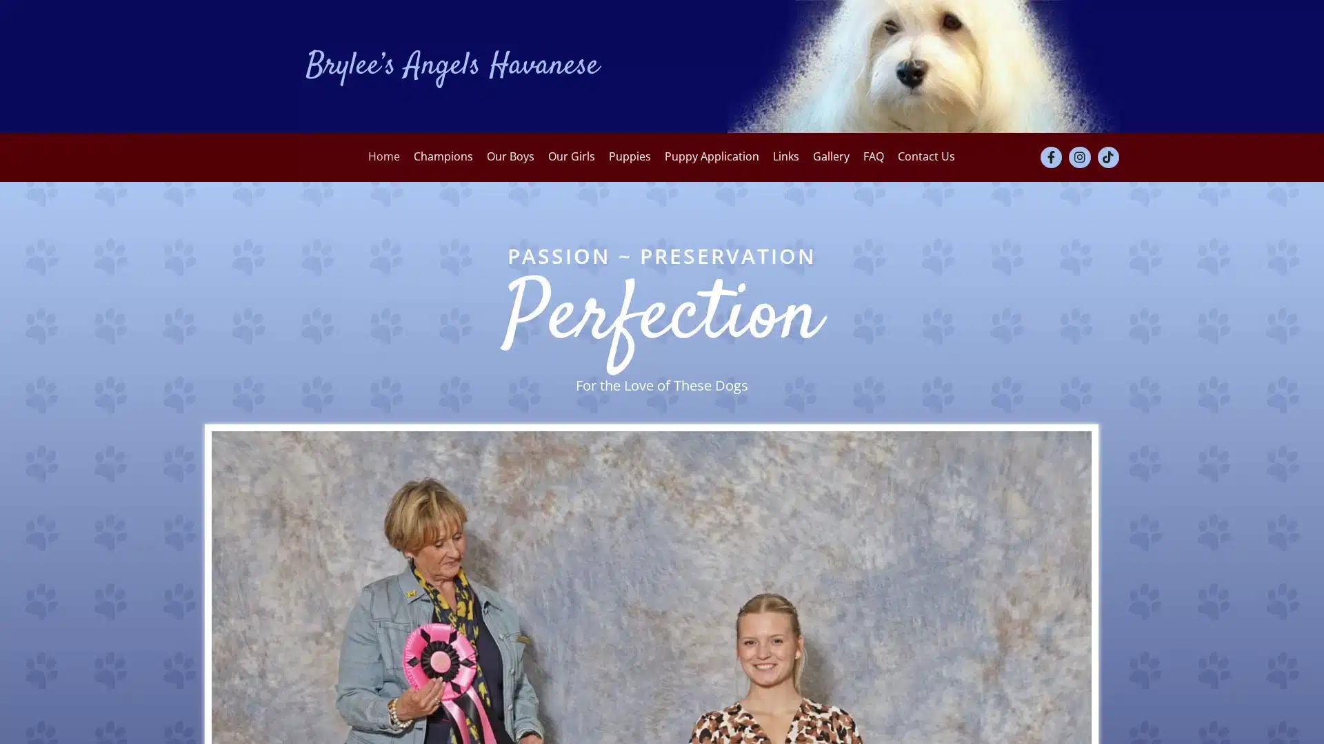 Brylee’s Angels Havanese