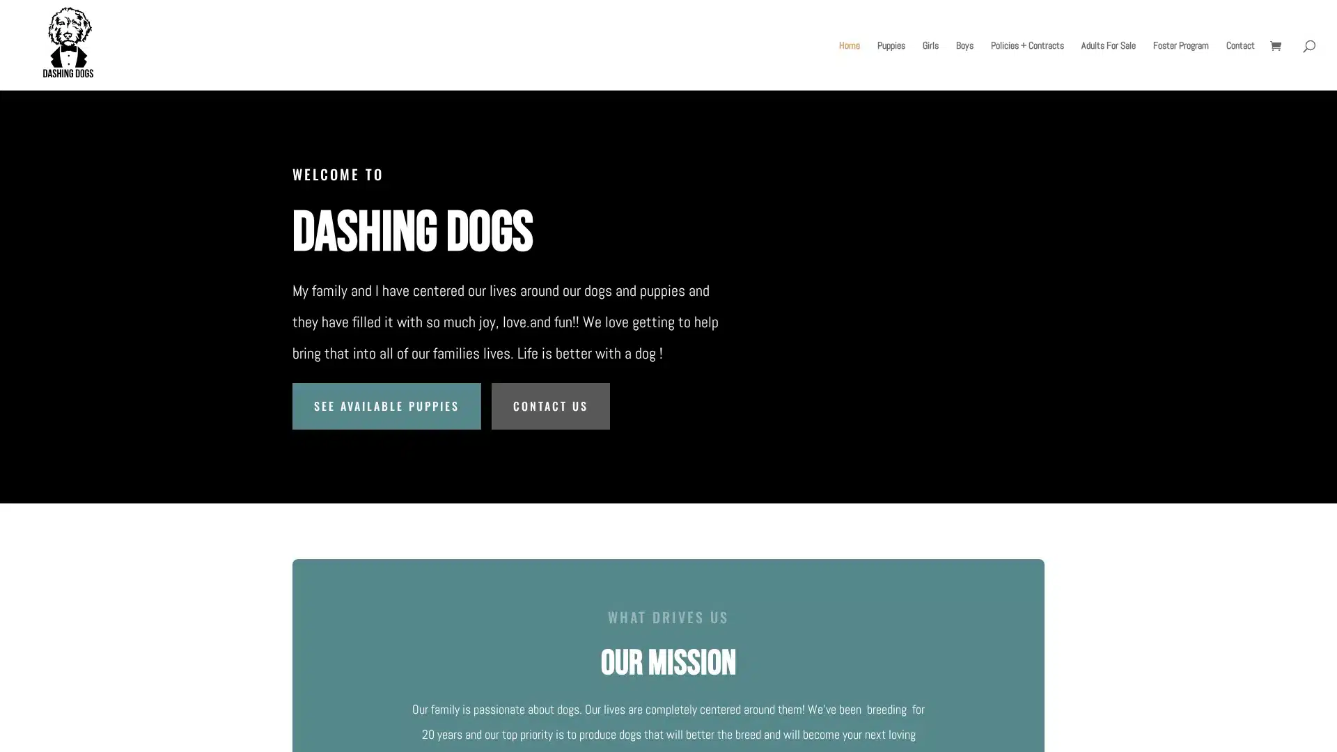 Dashing Dogs