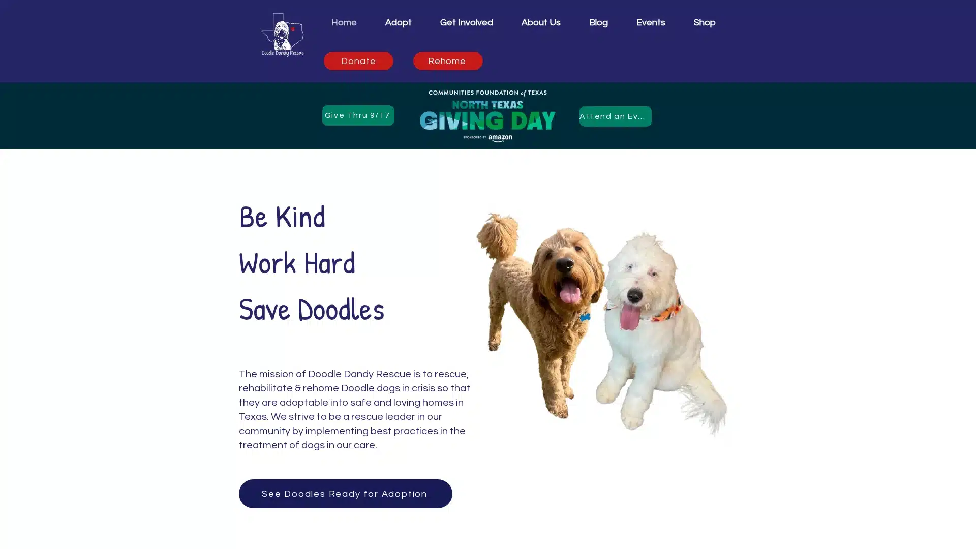 Doodle Dandy Rescue