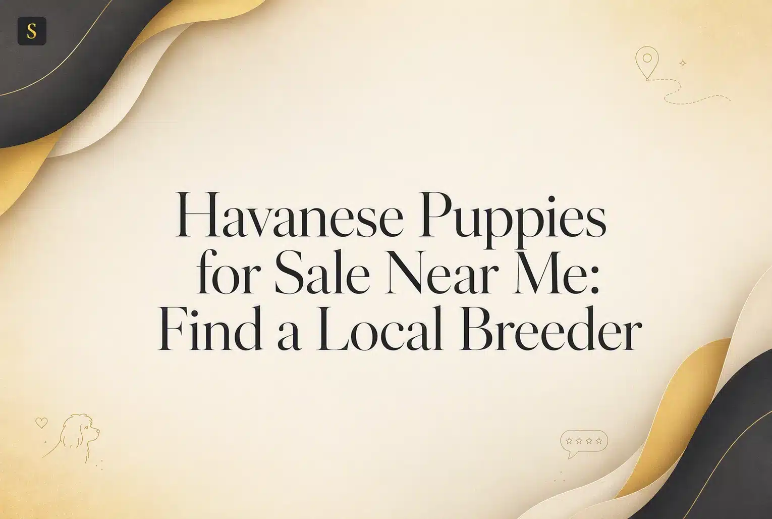 Text overlay on a creamy, textured background with abstract golden and black wavy shapes reads "Havanese Puppies for Sale Near Me: Find a Local Breeder." A small dog outline and heart icon are in the bottom left.