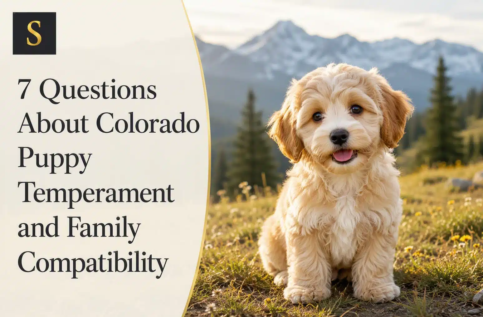 A fluffy, light-colored Colorado puppy sits in a grassy field with mountains in the background. Text overlay reads "7 Questions About Colorado Puppy Temperament and Family Compatibility.