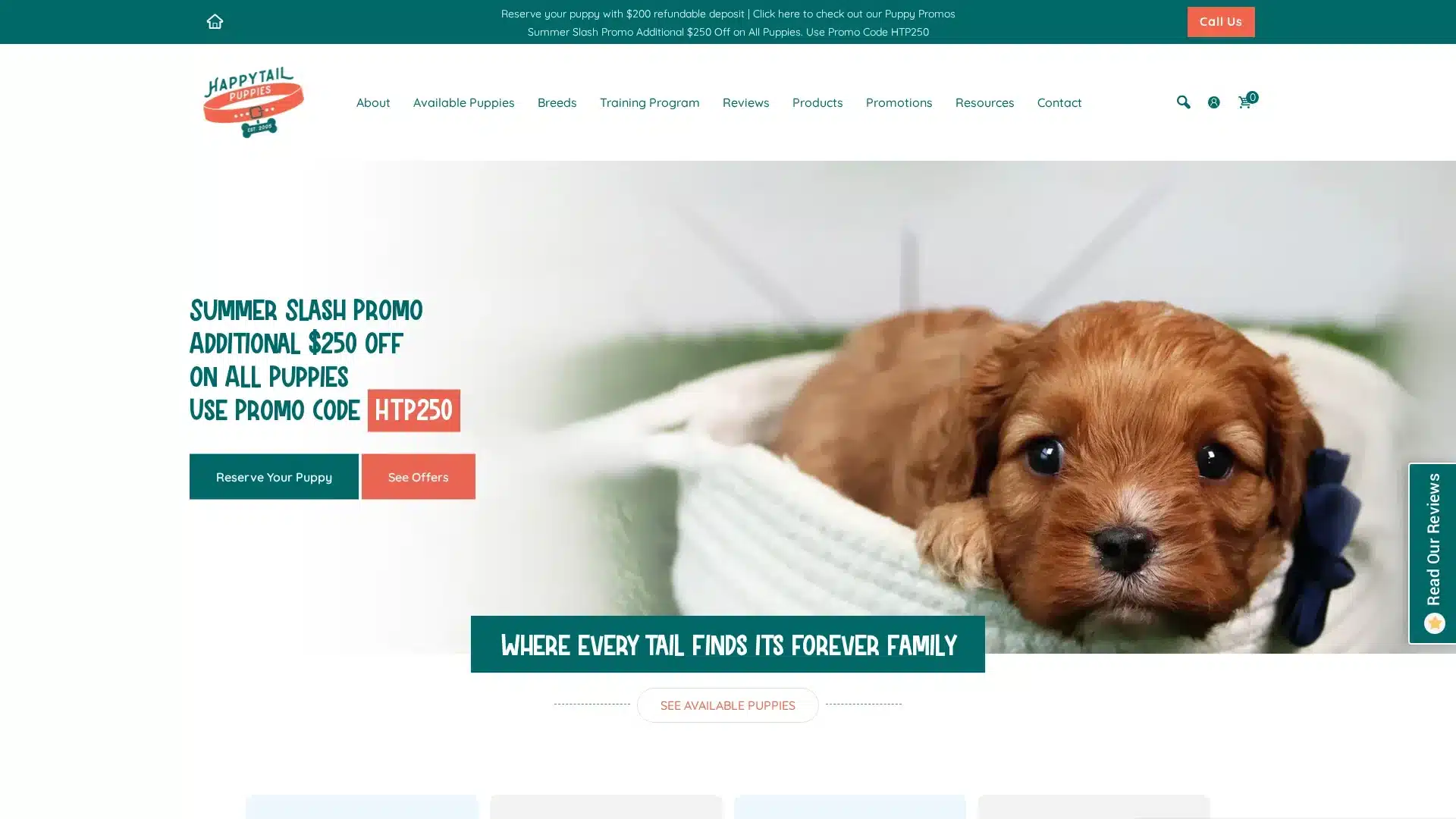 Happytail Puppies