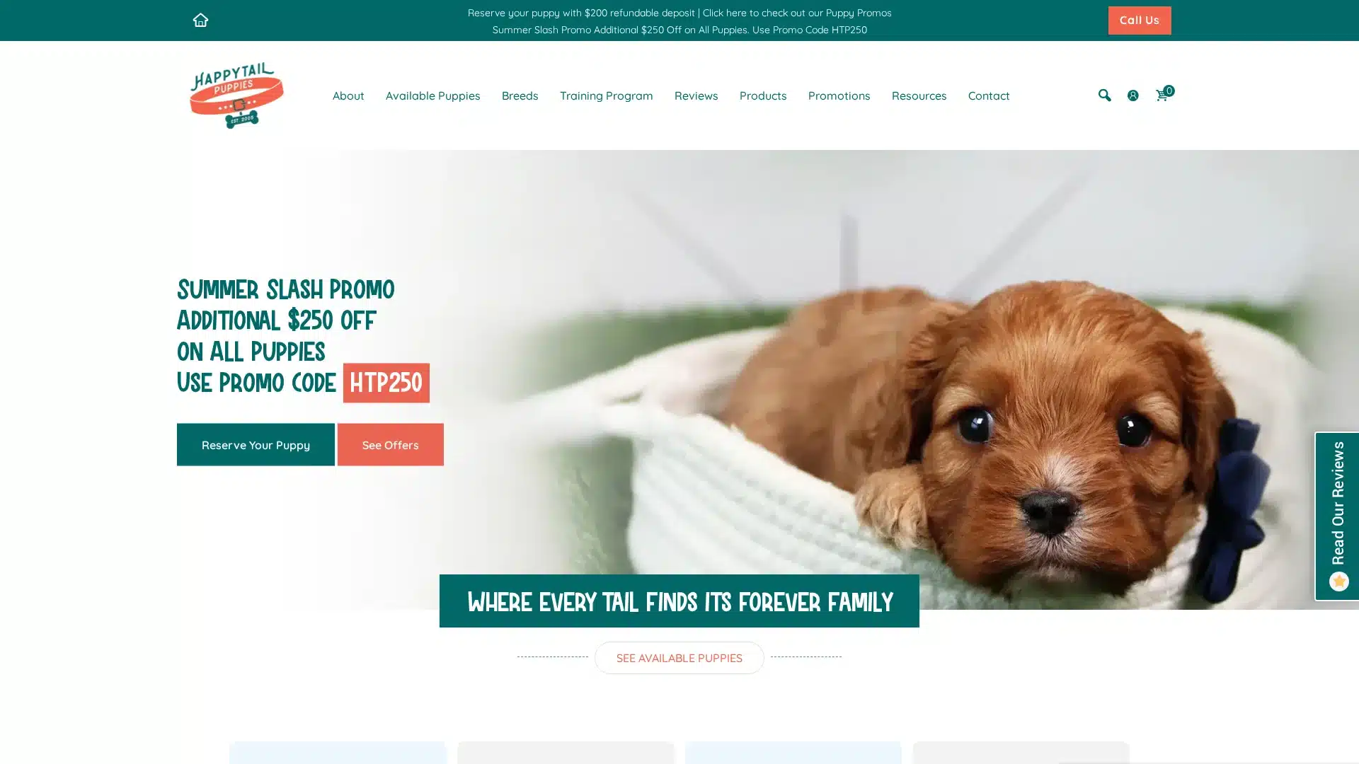 Happytail Puppies
