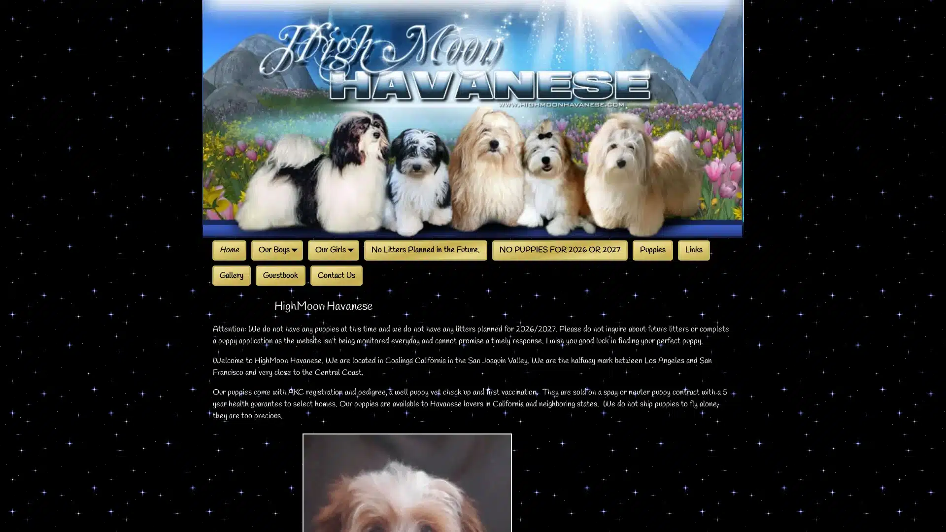 Highmoon Havanese