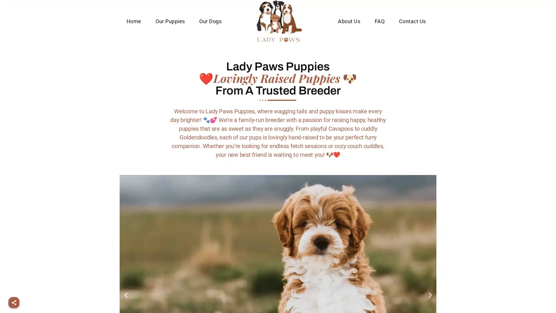 ladypawspuppies