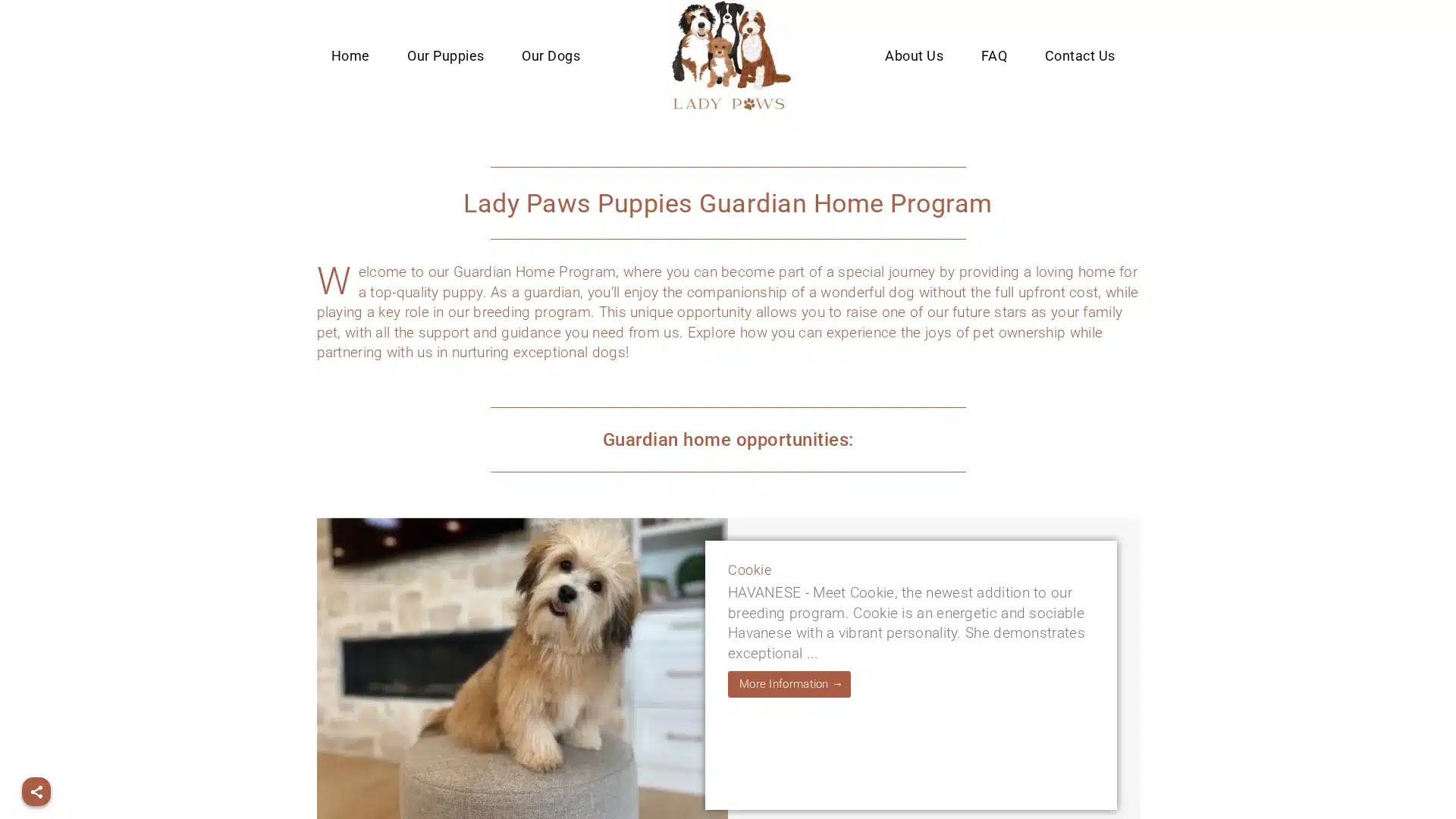 Lady Paws Puppies