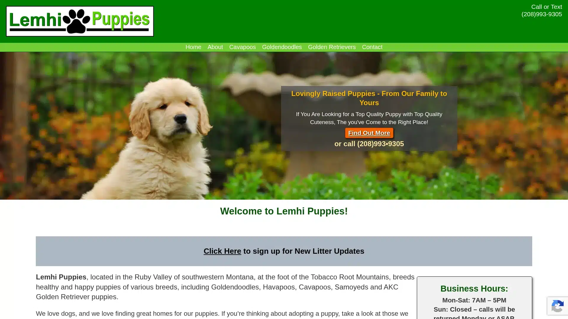Lemhi Puppies