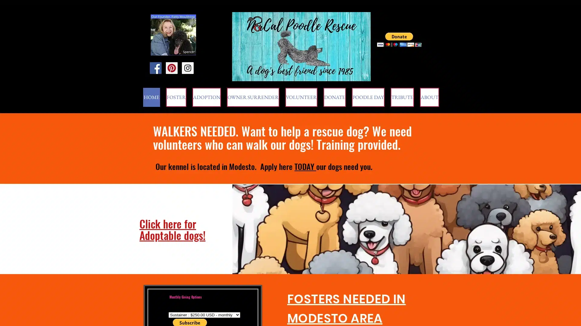 NorCal Poodle Rescue