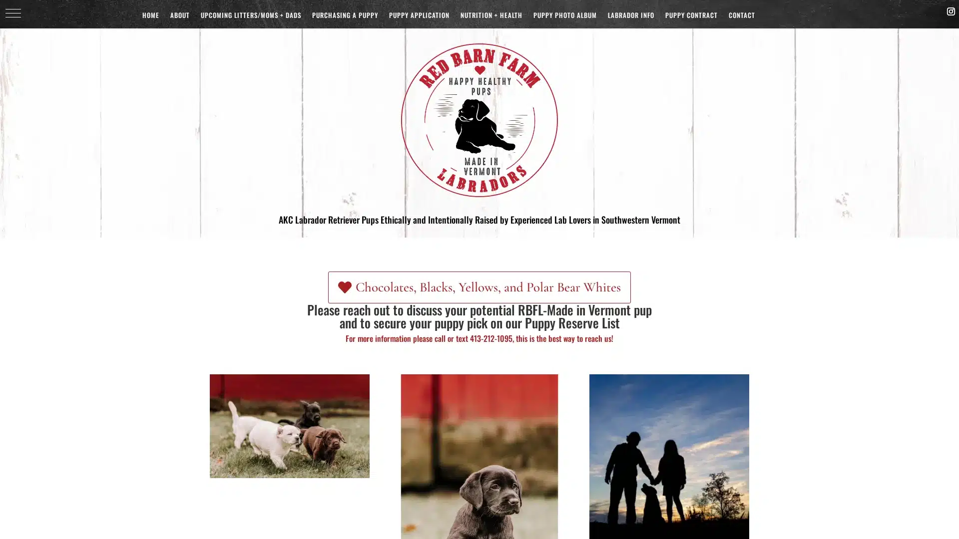 Red Barn Farm Labradors