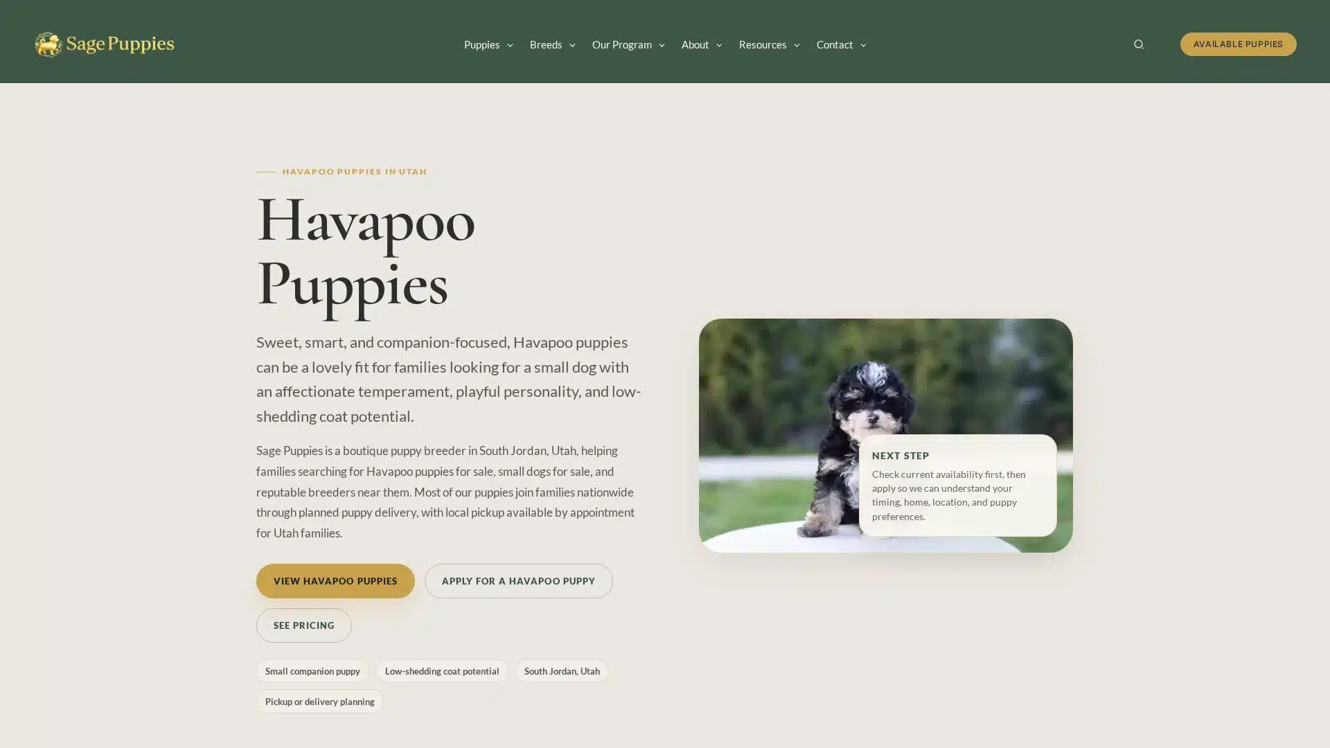 Havapoo