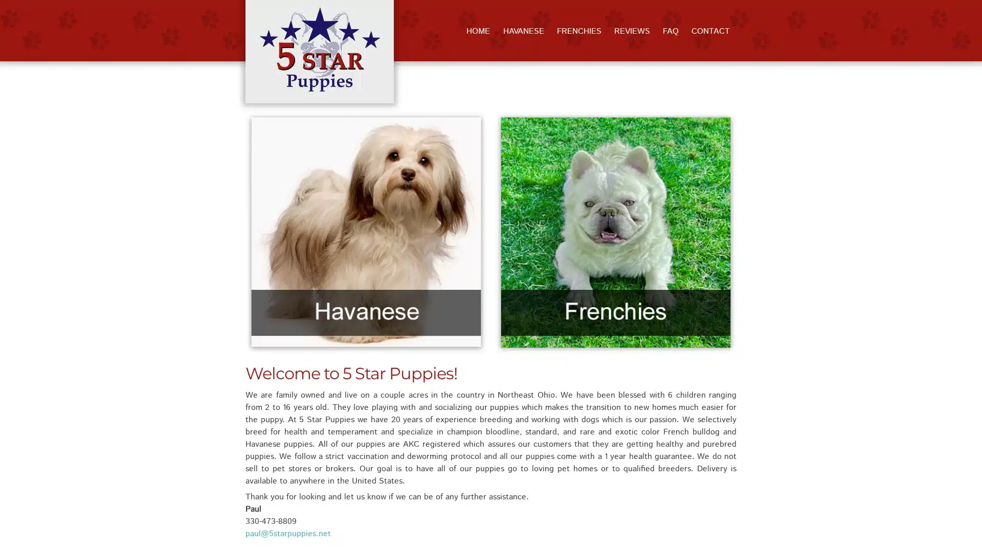 5 Star Puppies