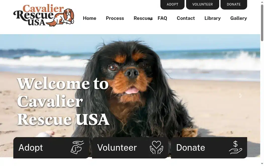 Cavalier Rescue USA