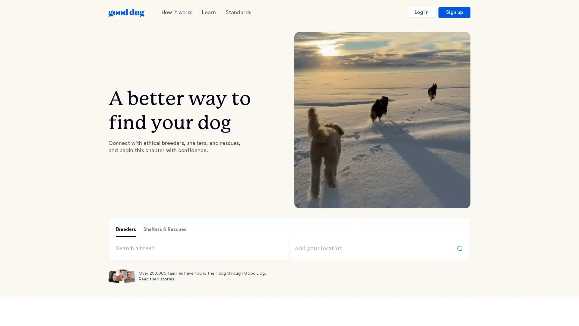 Good Dog Mississippi listings