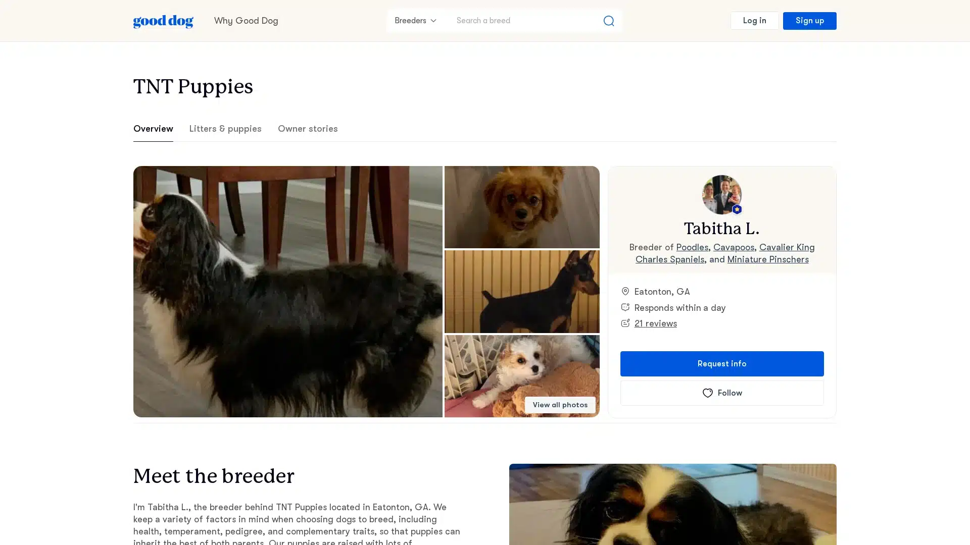 TNT Puppies