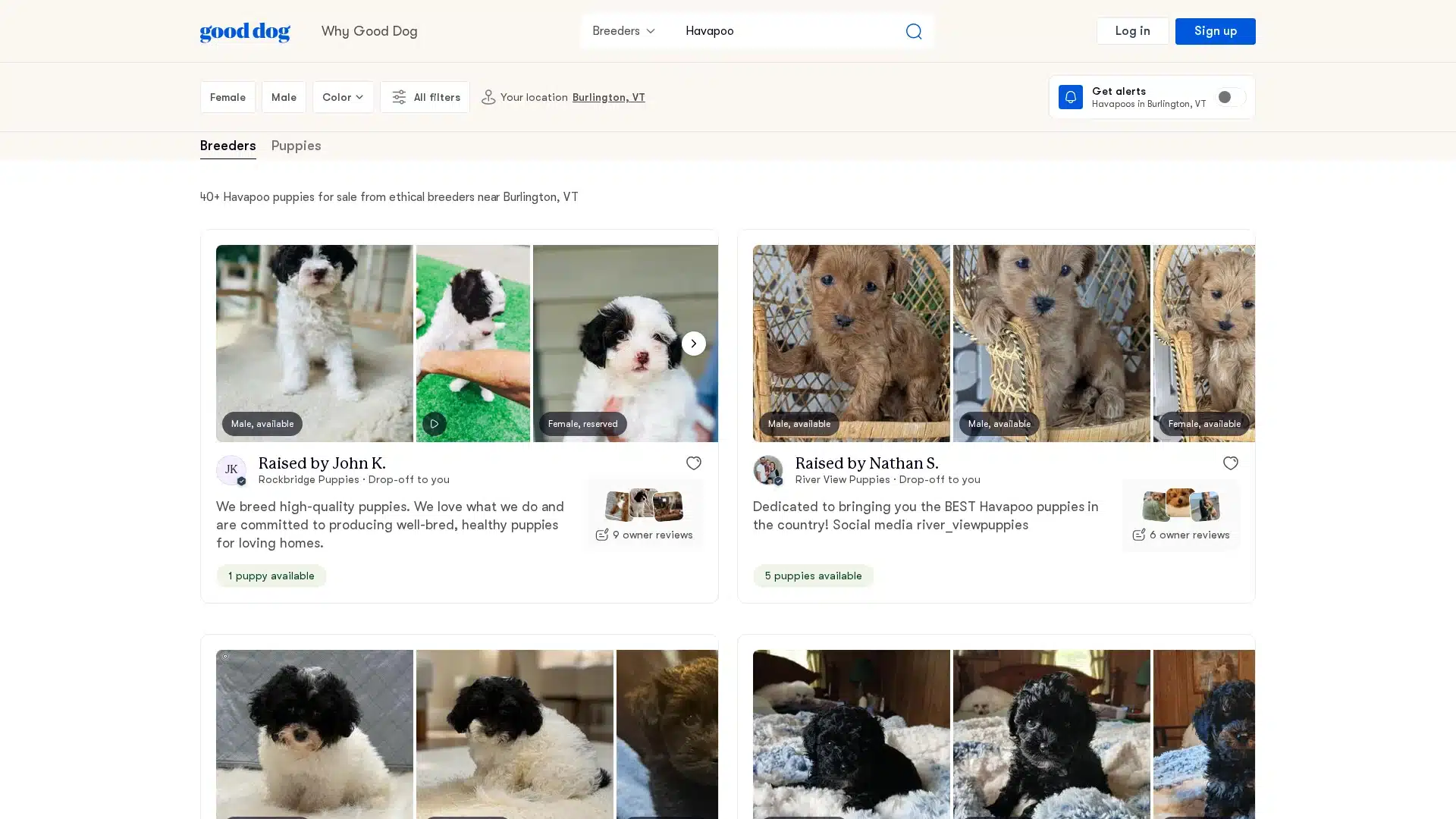 Good Dog Vermont-area listings