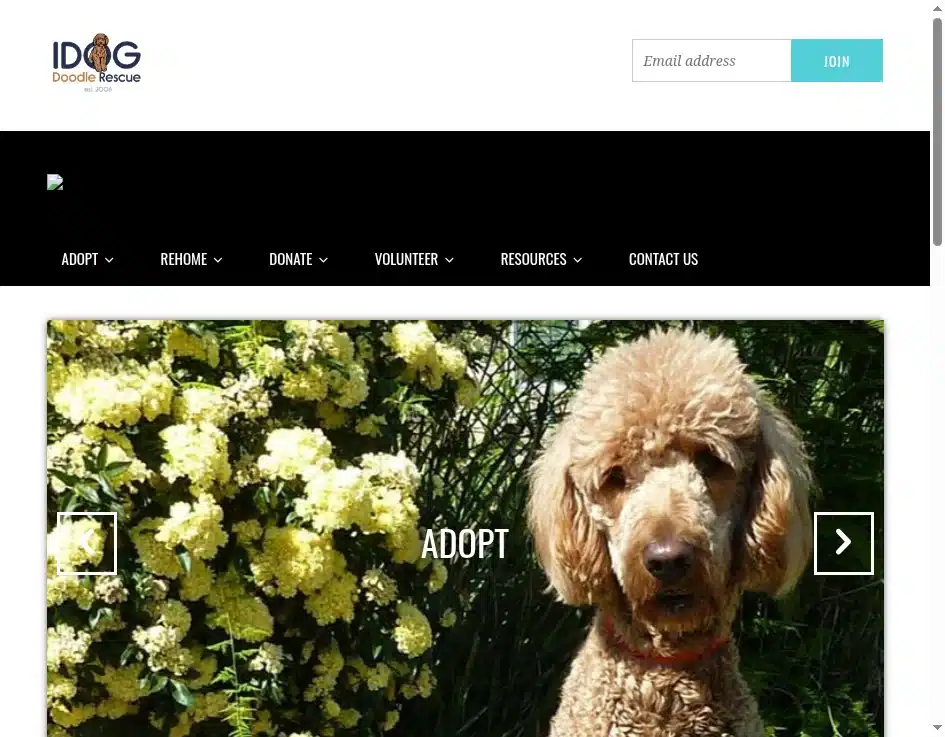 IDOG Rescue