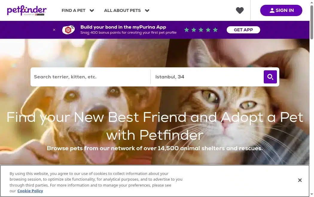 Petfinder Mississippi search
