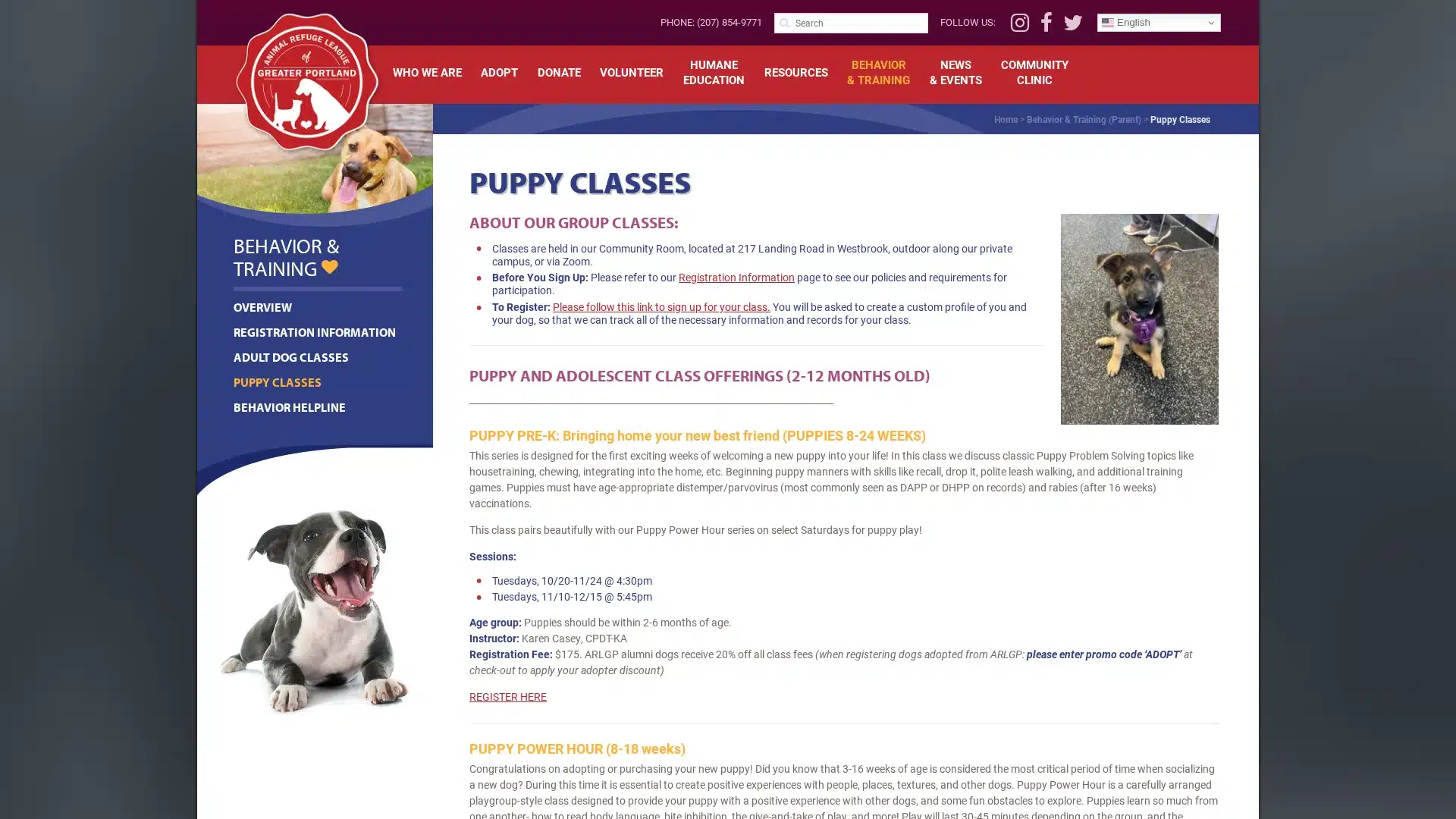 Animal Refuge League Puppy Power Hour