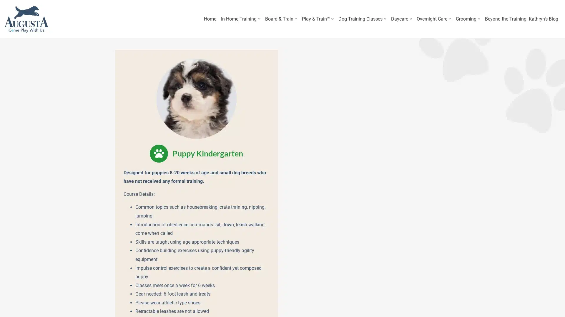 Augusta Dog Training Puppy Kindergarten