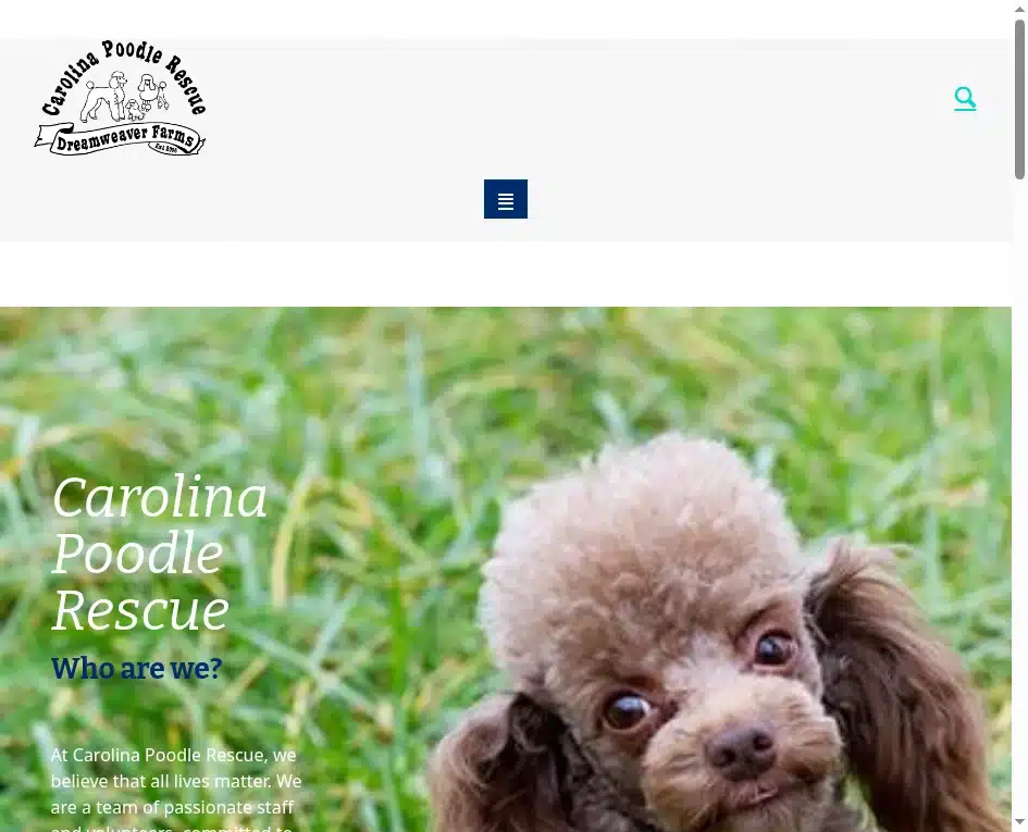 Carolina Poodle Rescue