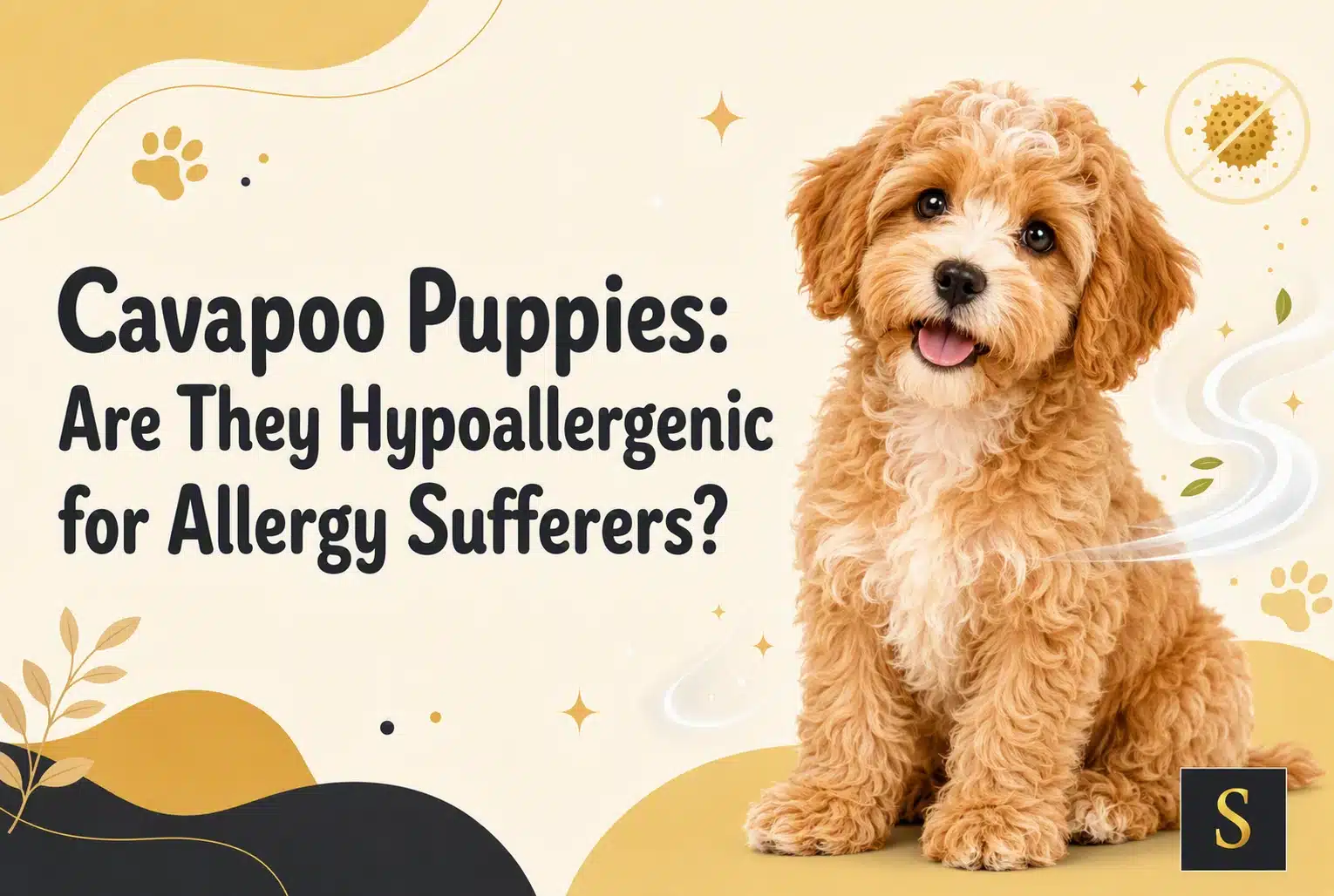 A fluffy, light brown Cavapoo puppy sits looking at the camera with its tongue out. The text "Cavapoo Puppies: Are They Hypoallergenic for Allergy Sufferers?" is overlaid on the left side of the image.