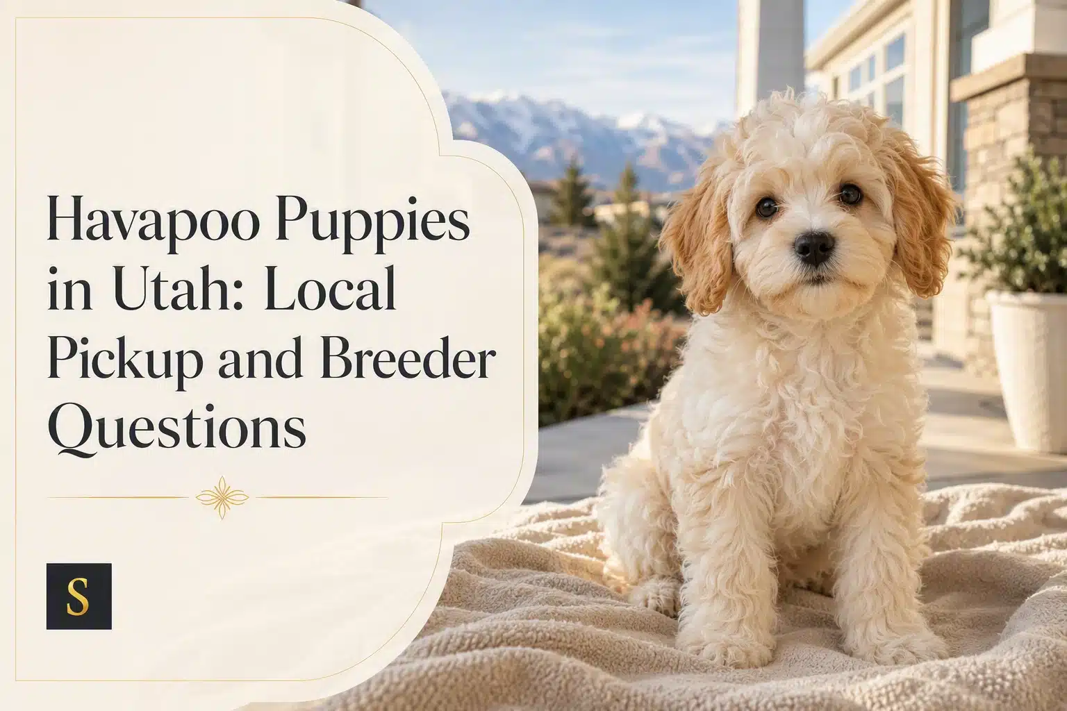 A fluffy, cream-colored Havapoo puppy with tan ears sits on a textured blanket outdoors. In the background, a blurred mountain landscape and a modern home are visible, with the text "Havapoo Puppies in Utah: Local Pickup and Breeder Questions" overlaid on the left.