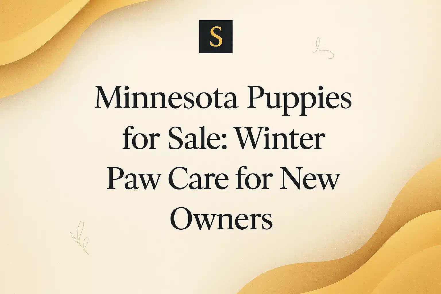 Title card for "Minnesota Puppies for Sale: Winter Paw Care for New Owners," featuring the text in elegant serif font against a creamy background with abstract golden wavy shapes and a small black square with a white 'S'.