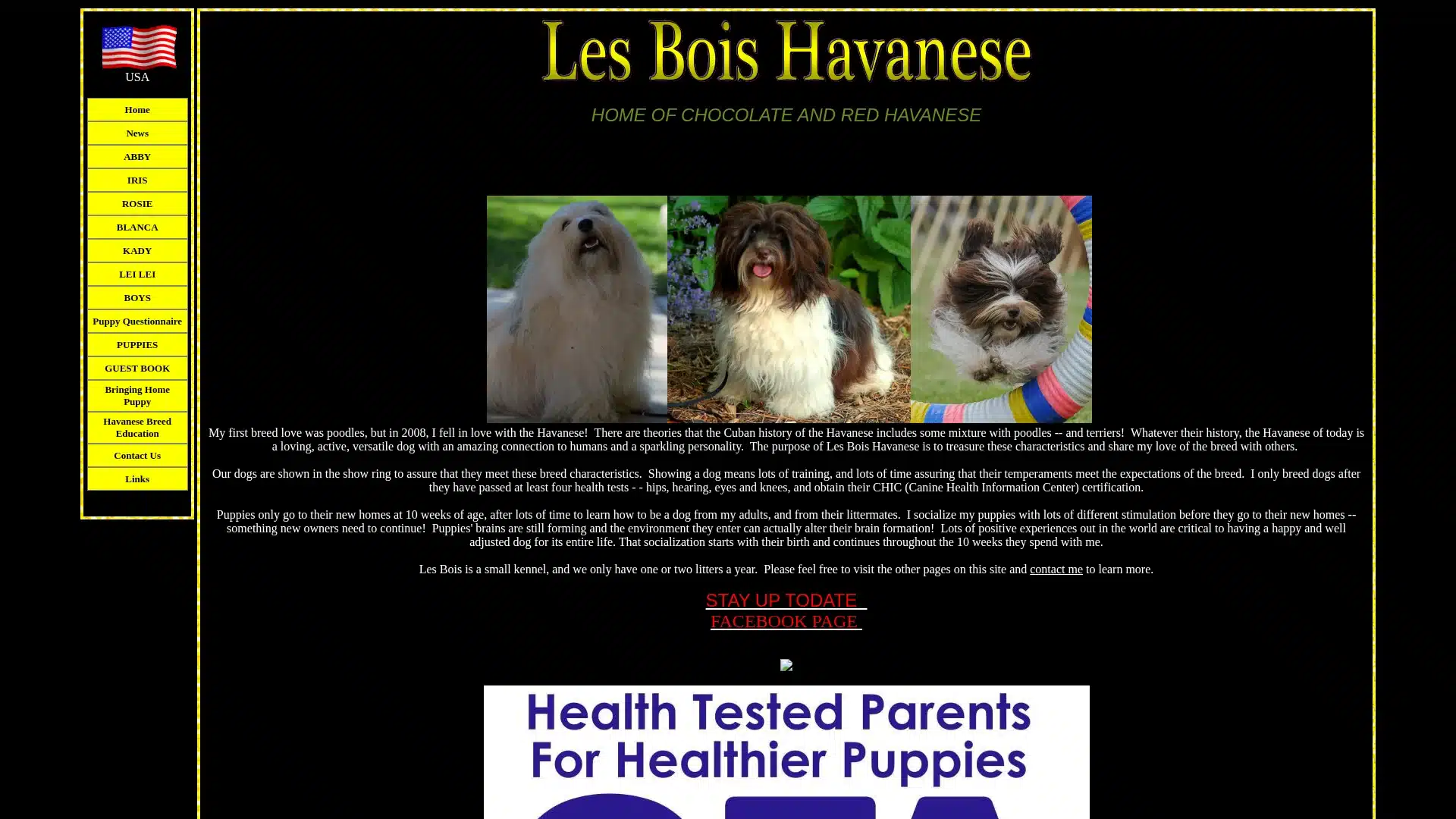 Les Bois Havanese